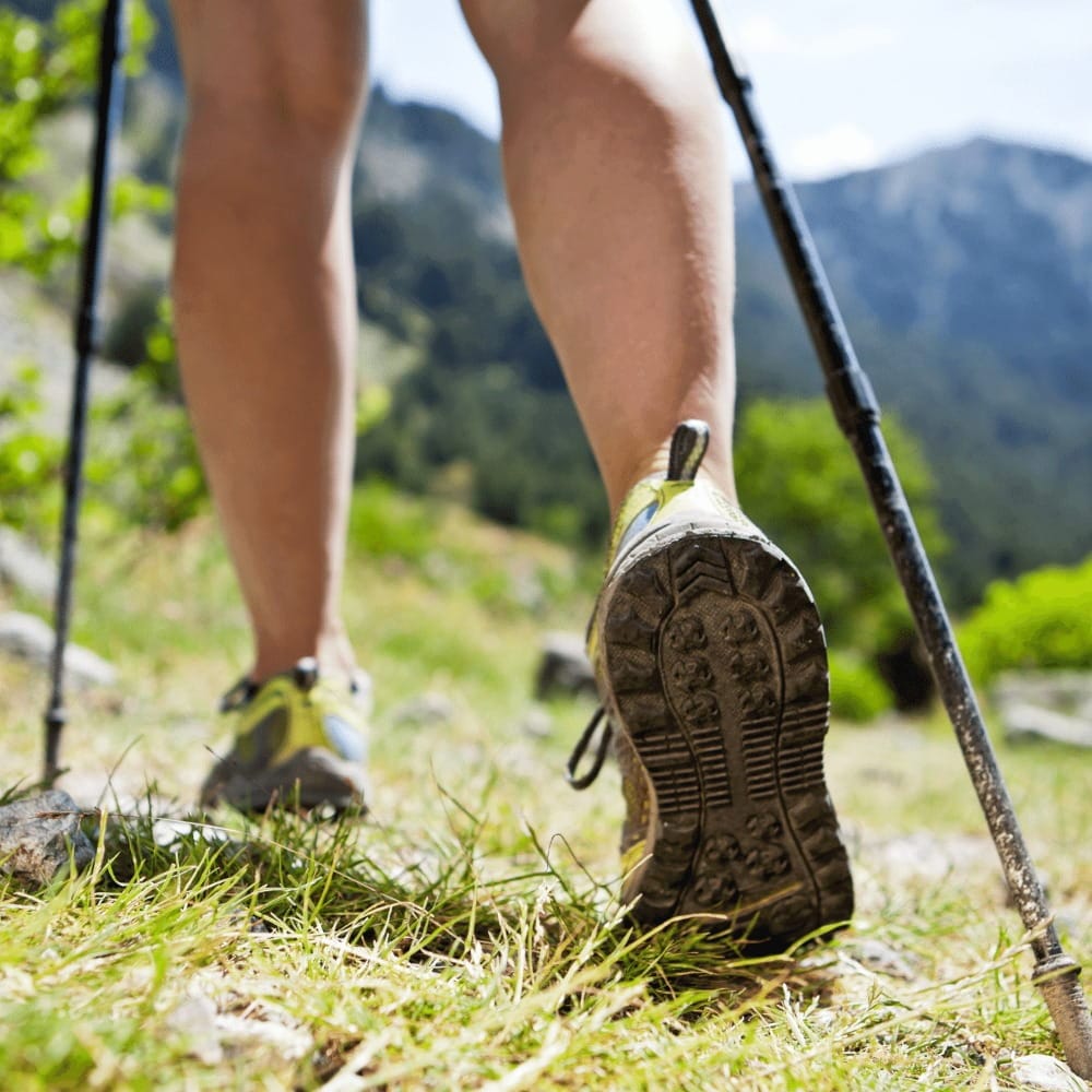 Kijki do chodzenia trekingowe nordic walking + akcesoria 3 Kijki do chodzenia trekingowe nordic walking + akcesoria - obrazek 3