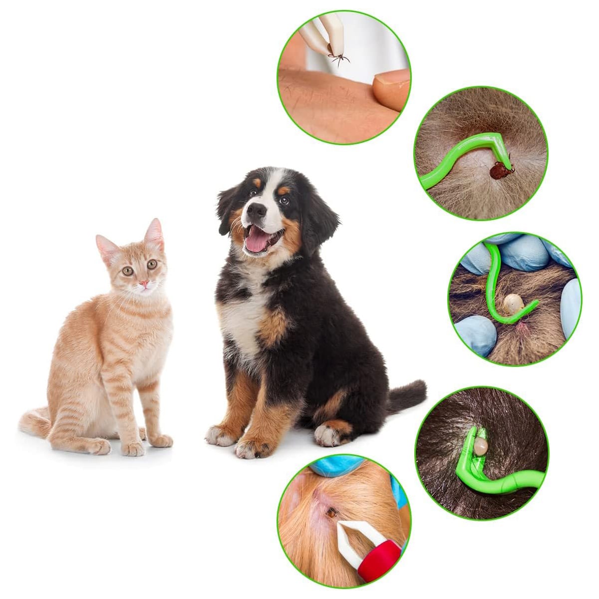 Haczyki do Wyciągania Kleszczy Pęseta Urządzenie Wyciągające Kleszcze 3 Haczyki do Wyciągania Kleszczy Pęseta Urządzenie Wyciągające Kleszcze - obrazek 3