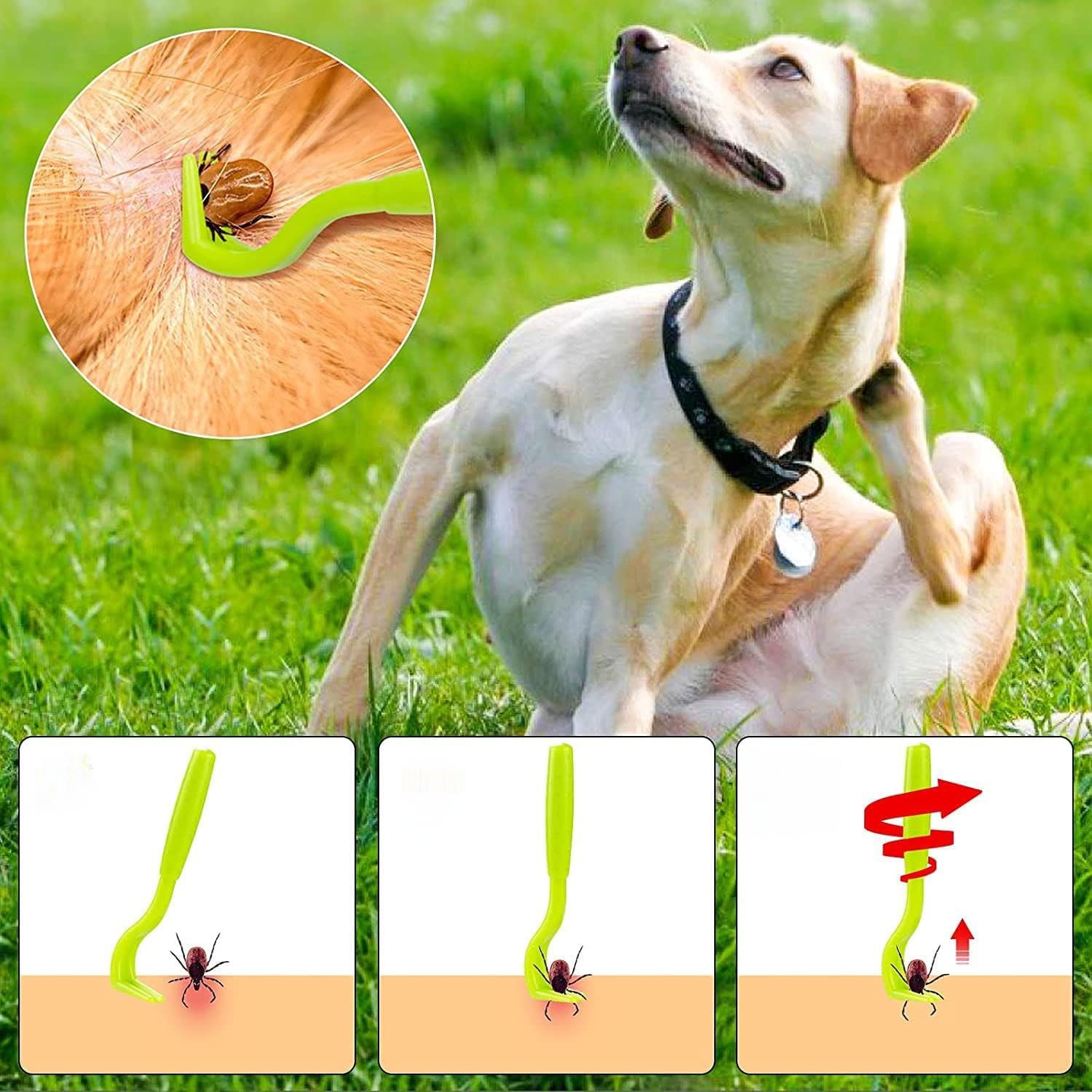 Haczyki do Wyciągania Kleszczy Pęseta Urządzenie Wyciągające Kleszcze 6 Haczyki do Wyciągania Kleszczy Pęseta Urządzenie Wyciągające Kleszcze - obrazek 6