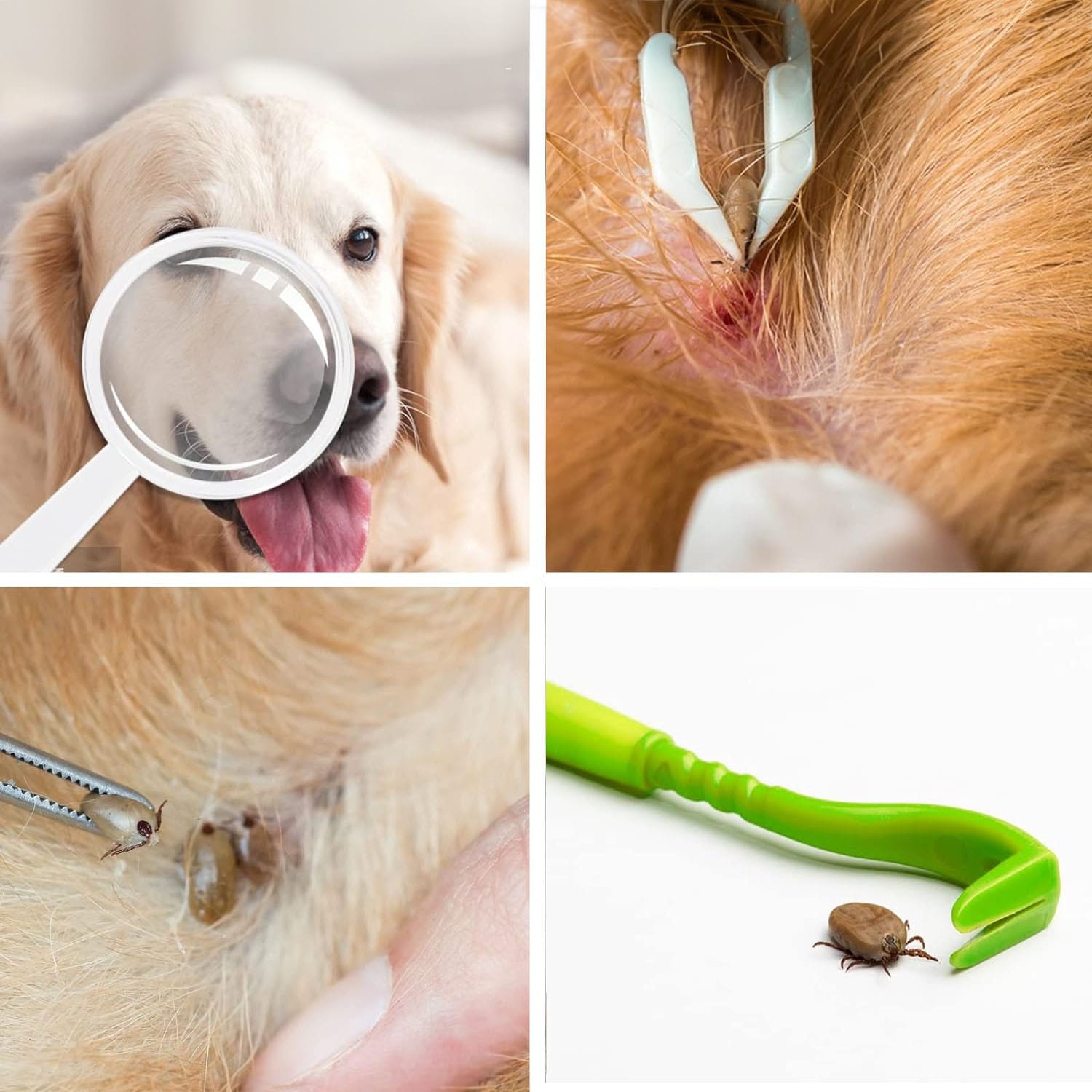 Haczyki do Wyciągania Kleszczy Pęseta Urządzenie Wyciągające Kleszcze 7 Haczyki do Wyciągania Kleszczy Pęseta Urządzenie Wyciągające Kleszcze - obrazek 7