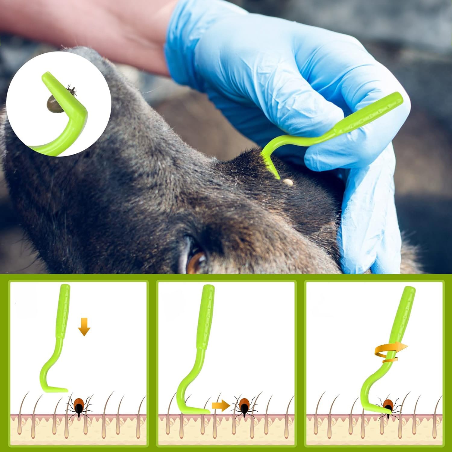 Haczyki do Wyciągania Kleszczy Pęseta Urządzenie Wyciągające Kleszcze 10 Haczyki do Wyciągania Kleszczy Pęseta Urządzenie Wyciągające Kleszcze - obrazek 10