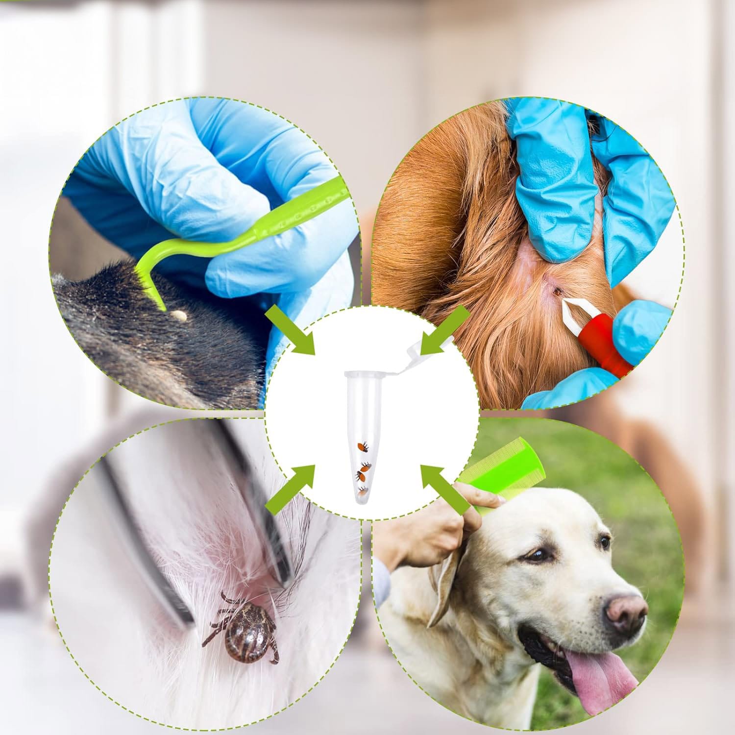 Haczyki do Wyciągania Kleszczy Pęseta Urządzenie Wyciągające Kleszcze 8 Haczyki do Wyciągania Kleszczy Pęseta Urządzenie Wyciągające Kleszcze - obrazek 8