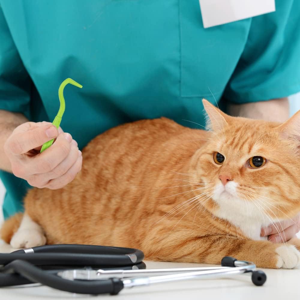 Haczyki do Wyciągania Kleszczy Pęseta Urządzenie Wyciągające Kleszcze 9 Haczyki do Wyciągania Kleszczy Pęseta Urządzenie Wyciągające Kleszcze - obrazek 9